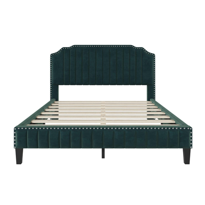 Modern Velvet Curved Upholstered Platform Bed , Solid Wood Frame , Nailhead Trim, Green(Queen)