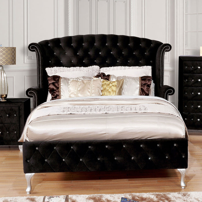 Clerita Transitional Wingback Tufted Queen Bed in Black