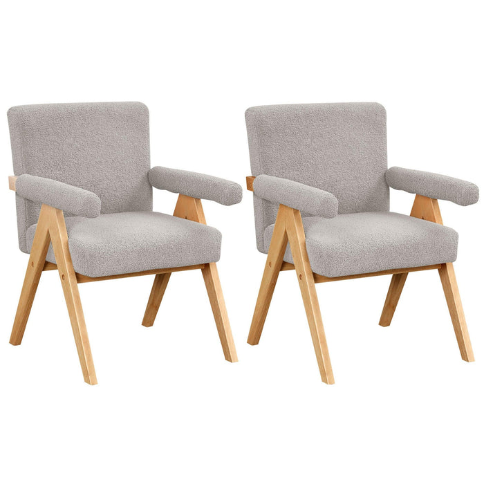 Modern Arm Chair Set of 2,Chair set with Solid Wood Frame, Altay Velvet Upholstered Accent chairs with arm pads for Living Room Bedroom Apartment, Gray image