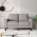 Modern Living Room Furniture Loveseat in Light Grey Fabric image