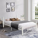 Queen Size Metal Bed Frame with Headboard and Footboard White image