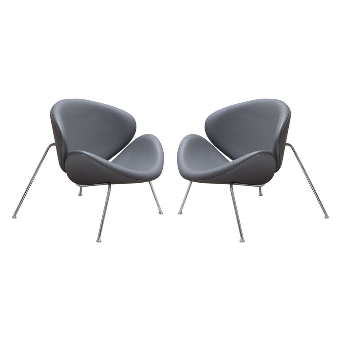 Set of (2) Roxy Accent Chair with Chrome Frame by Diamond Sofa - GREY image